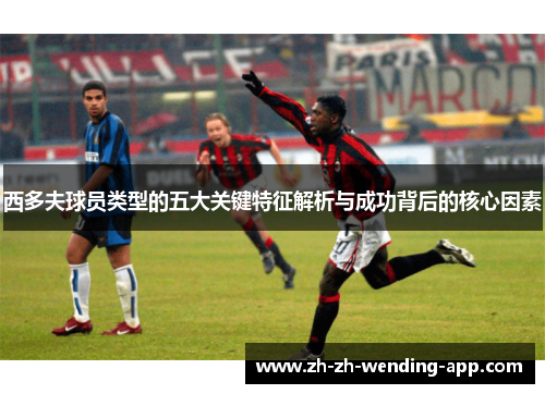 西多夫球员类型的五大关键特征解析与成功背后的核心因素